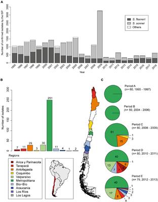 Antimicrobial Resistance Dynamics in Chilean Shigella sonnei Strains Within Two Decades: Role of Shigella Resistance Locus Pathogenicity Island and Class 1 and Class 2 Integrons